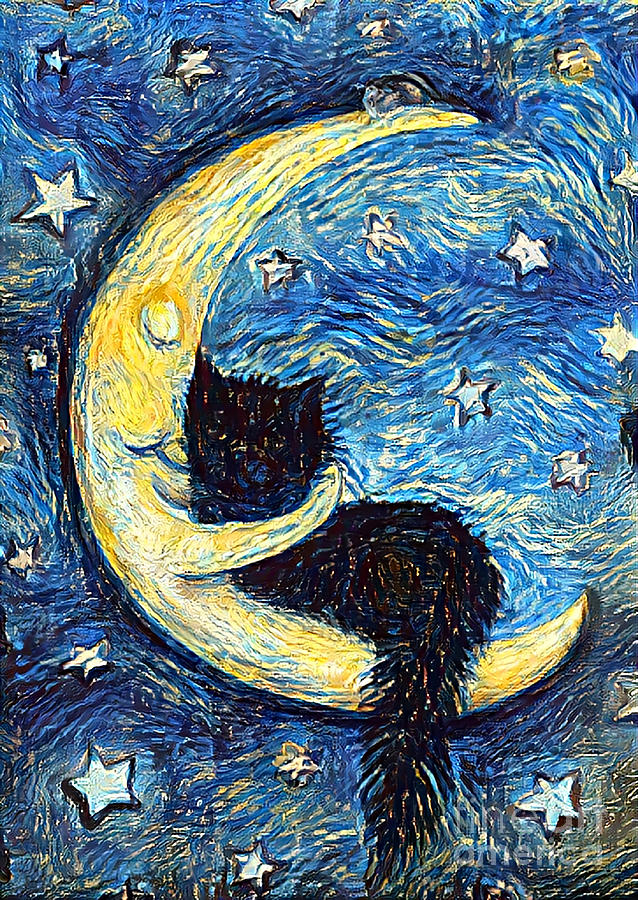 Starry night black cat