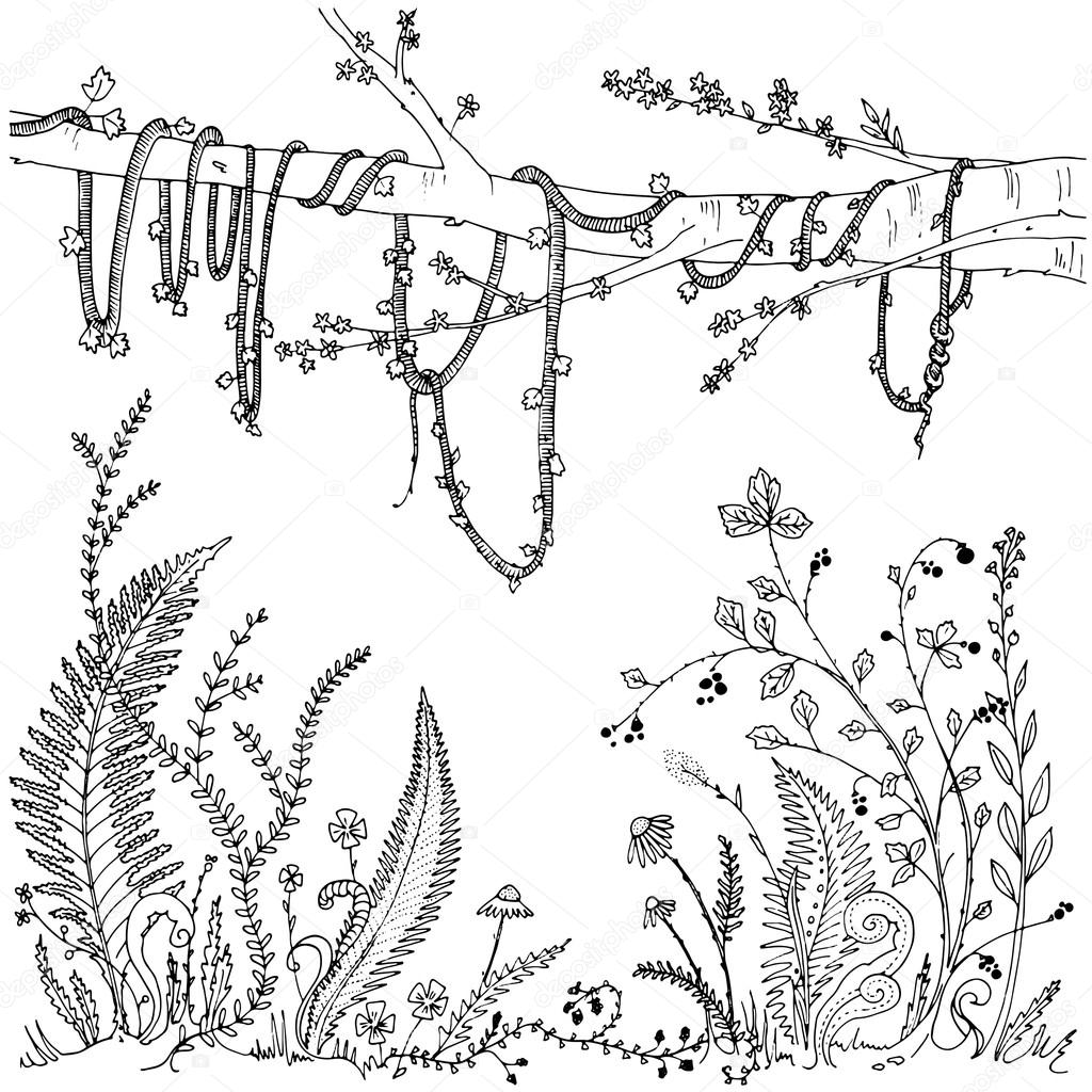 Ferns flowers vines and berries in a forest dense vegetation printable coloring page for adults anti