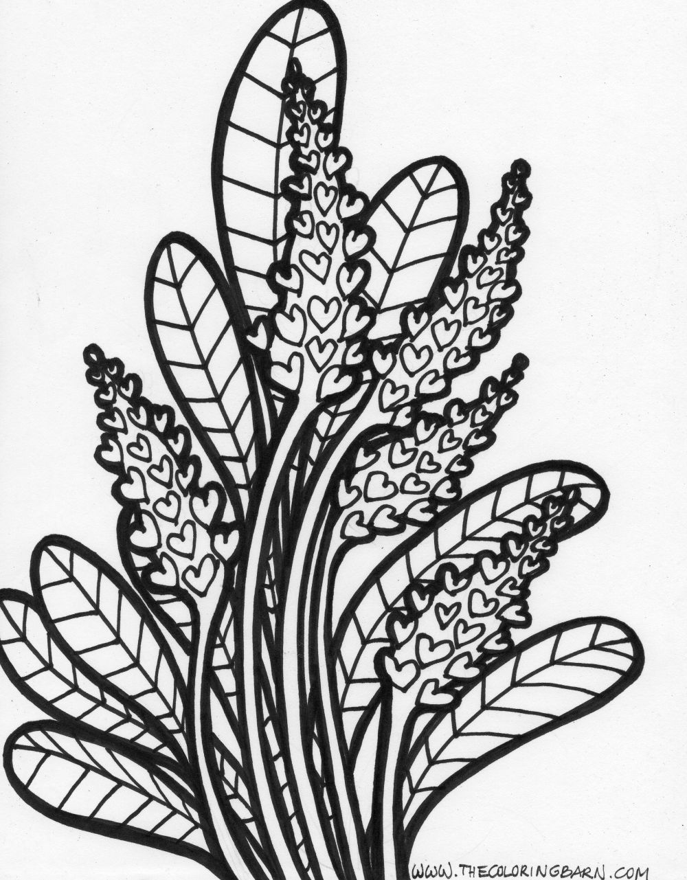 Flower coloring pages