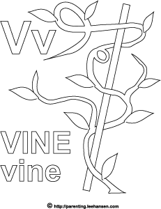 Letter v activity page vine alphabet coloring sheet