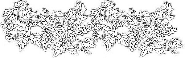 Italophile coloring pages grape vine