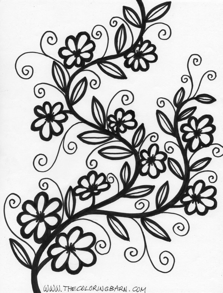 Images about doodle flowers on vines zentangle pattern coloring pages flower coloring pages flower doodles