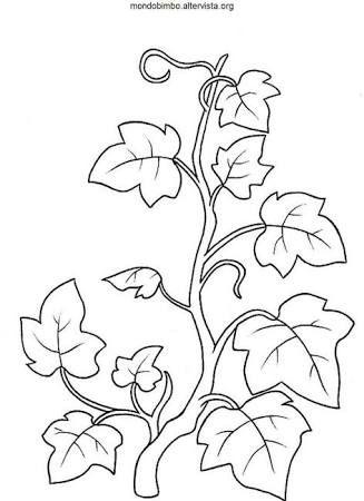 Image result for coloring page vine and branches vine drawing coloring pages vine and branches