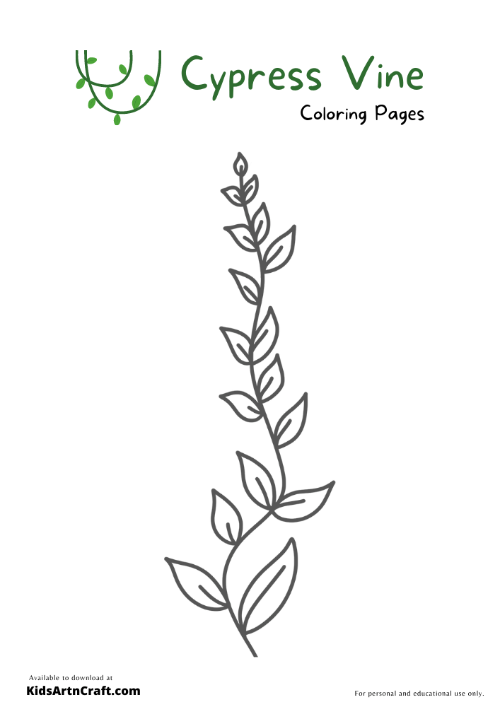 Cypress vine coloring pages for kids â free printables