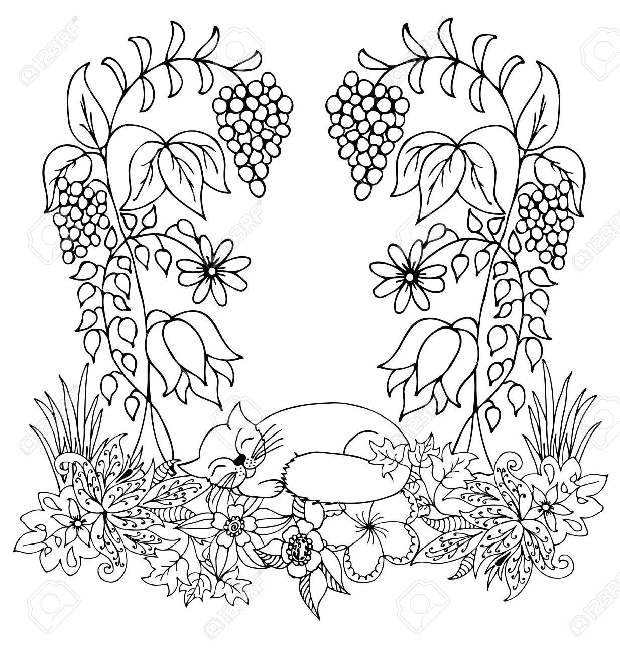 Zentangl cat under vines in flowers coloring book anti