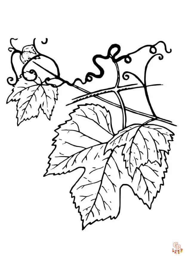 Printabe vine coloring pages free for kids and adults