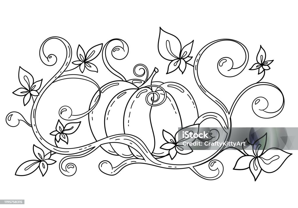 Coloring page of autumn pumpkin stock illustration