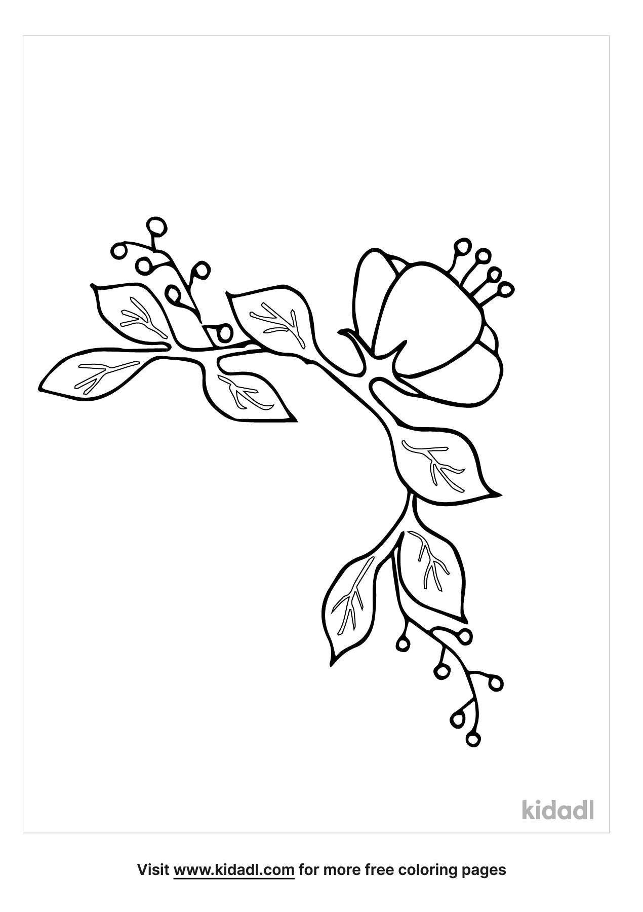 Free vine with flower coloring page coloring page printables