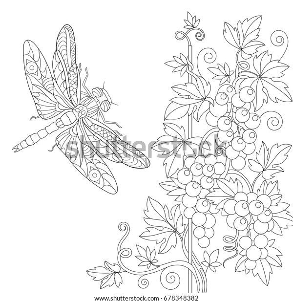 Coloring page dragonfly grape vine freehand stock vector royalty free