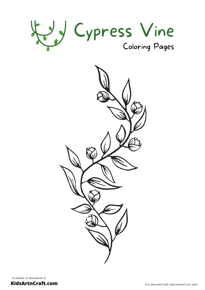 Cypress vine coloring pages for kids â free printables