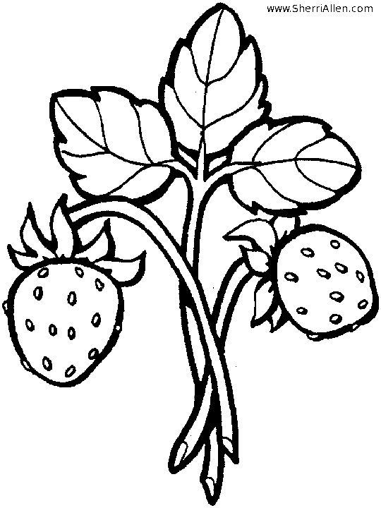 Free fruit coloring pages from