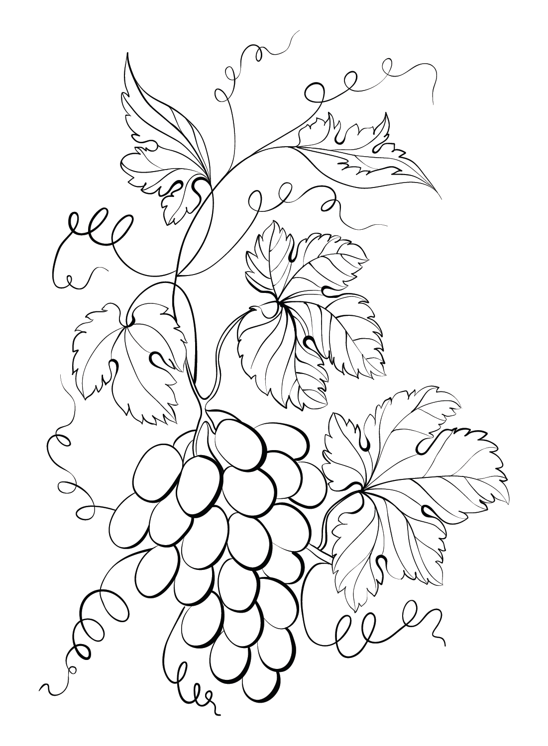 Grapes coloring pages printable for free download