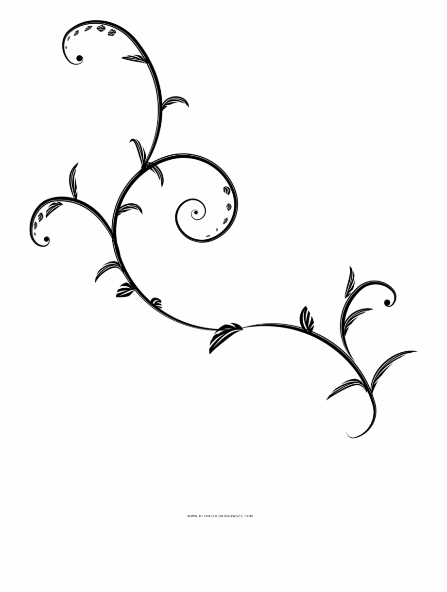 Vine coloring page line art