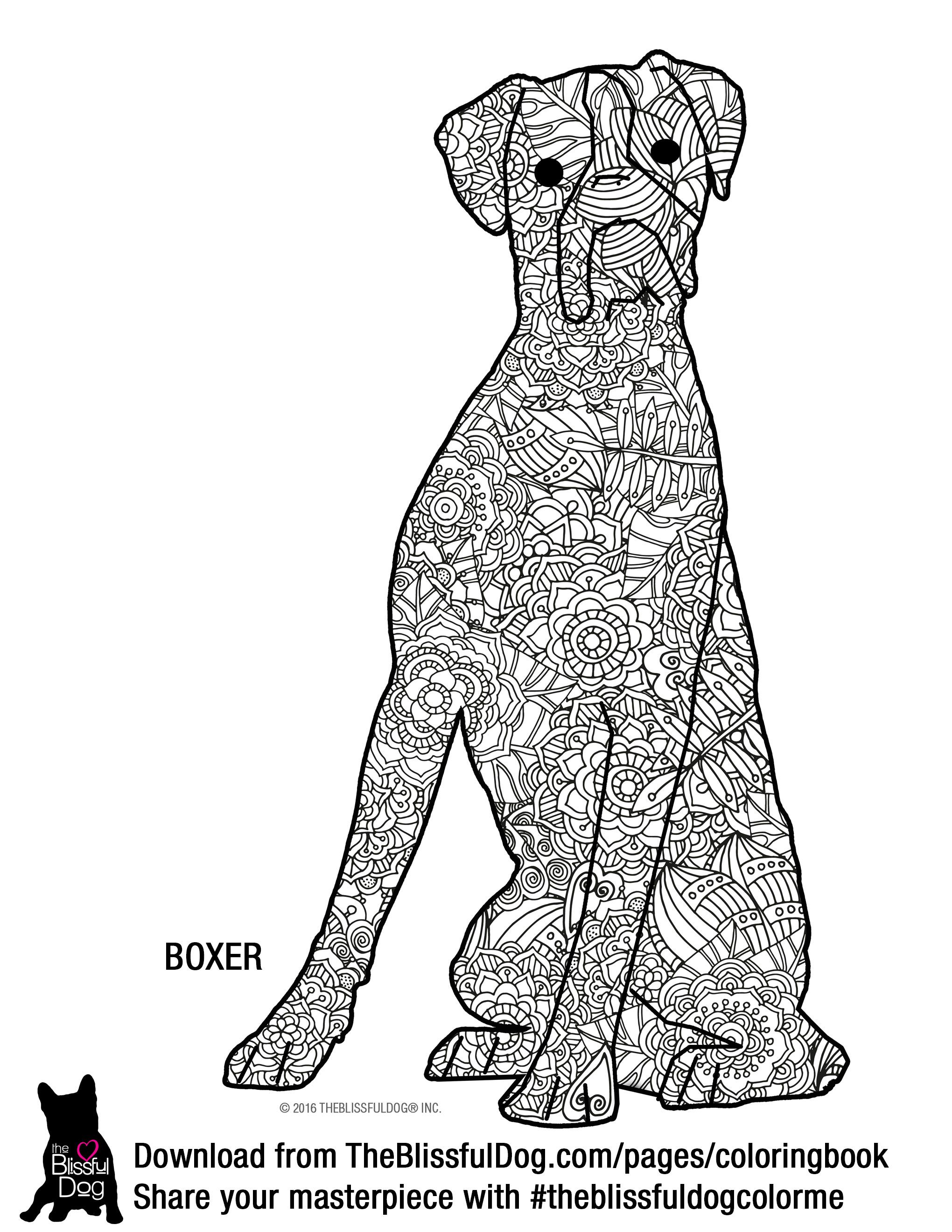 And the boxer coloring book page this is a harder onehehehe dog coloring book dog coloring page puppy coloring pages