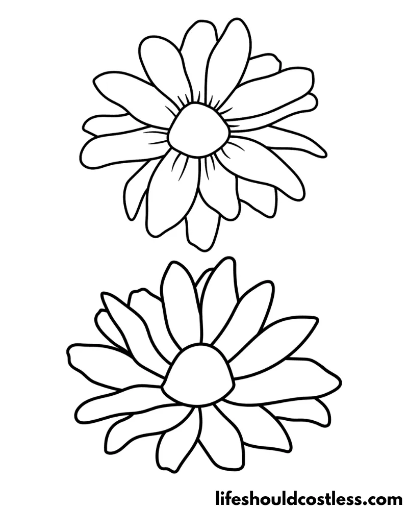 Daisy coloring pages free printable pdf templates