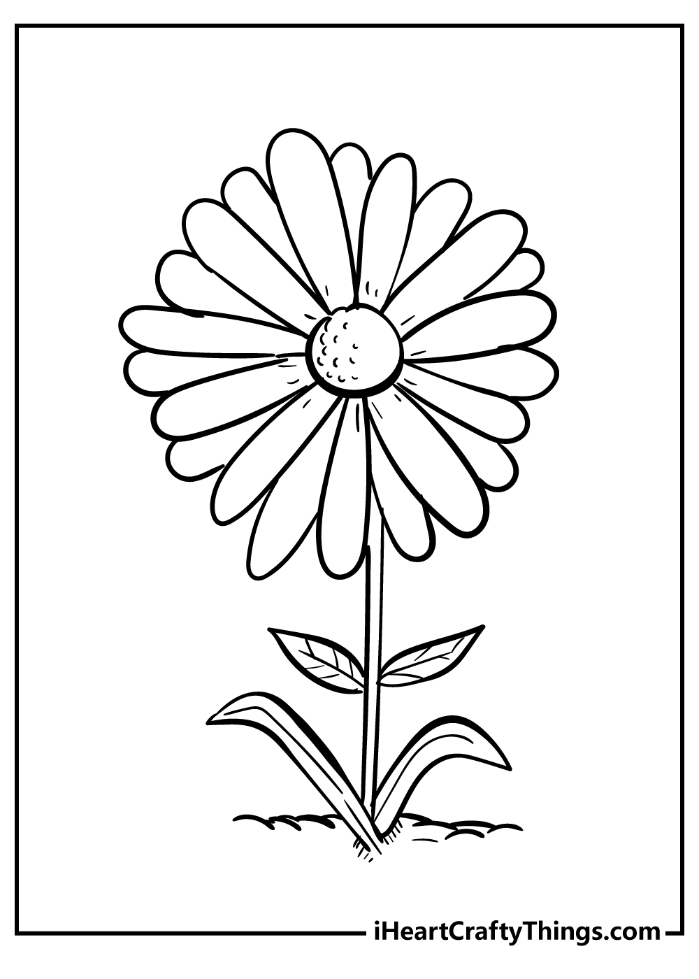 Daisy coloring pages free printables