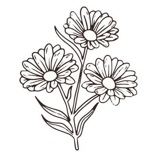 Vintage daisy flowers stroke icon png svg design for t