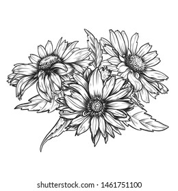 Sketch pen ink vintage daisies bouquet stock vector royalty free