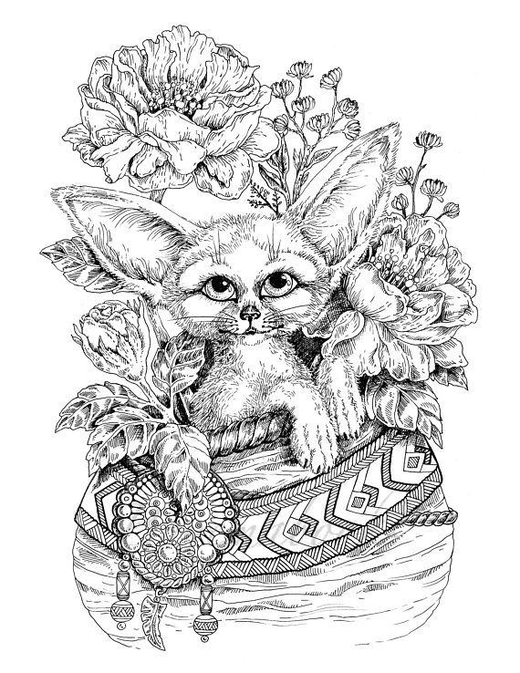 Vintage classic coloring pages adult coloring book relaxing coloring pages digital pages animals flowers fairies and more