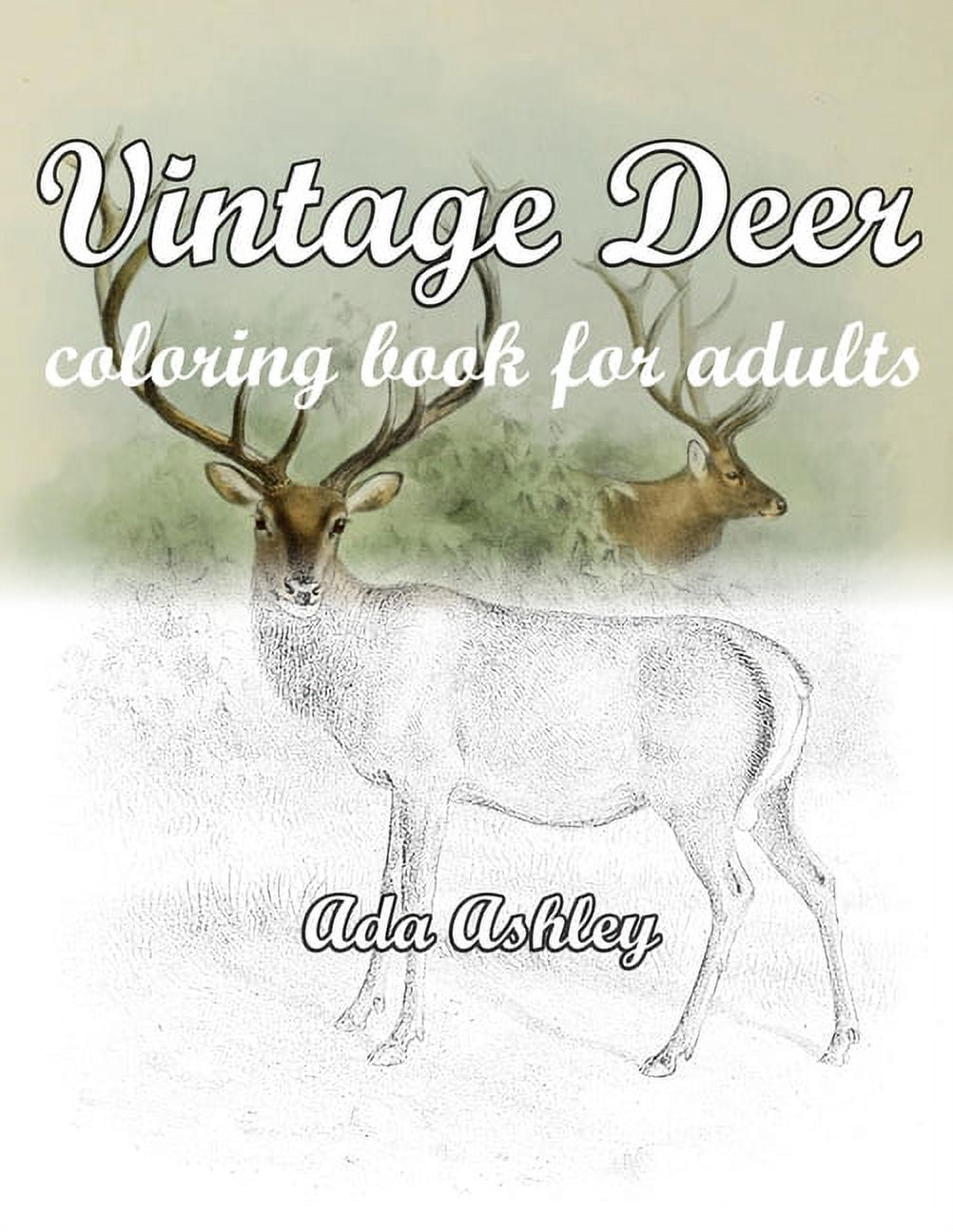 Vintage deer coloring book for adults relaxation with deer coloring pages of realistic hand