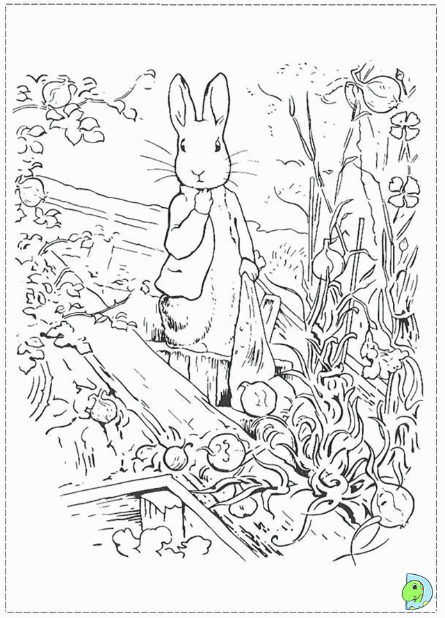 Peter rabbit vintage coloring pages rcoloringpages