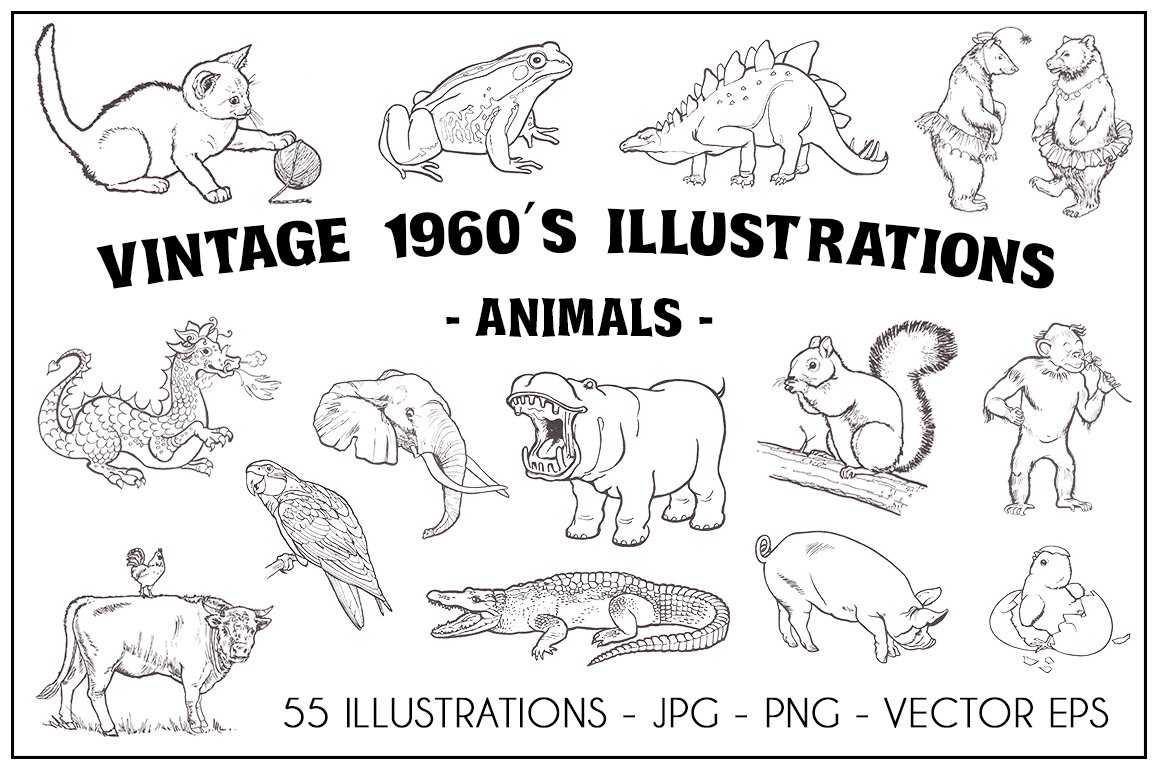 Vintage s illustrations