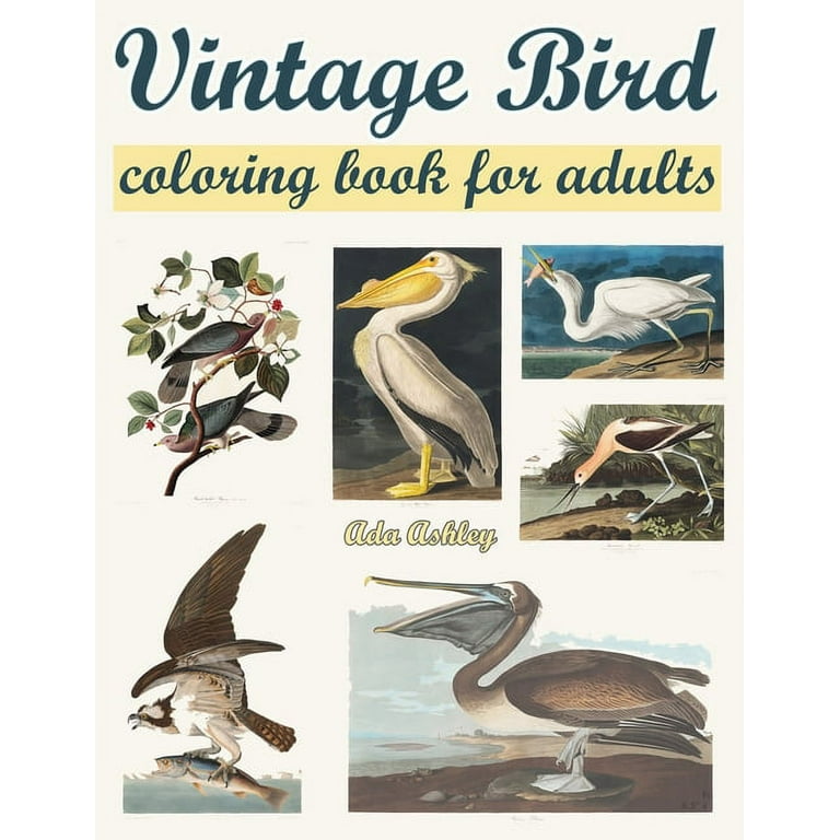 Vintage bird coloring book for adults relaxation with coloring pages of audubon vintage illustrations paperback