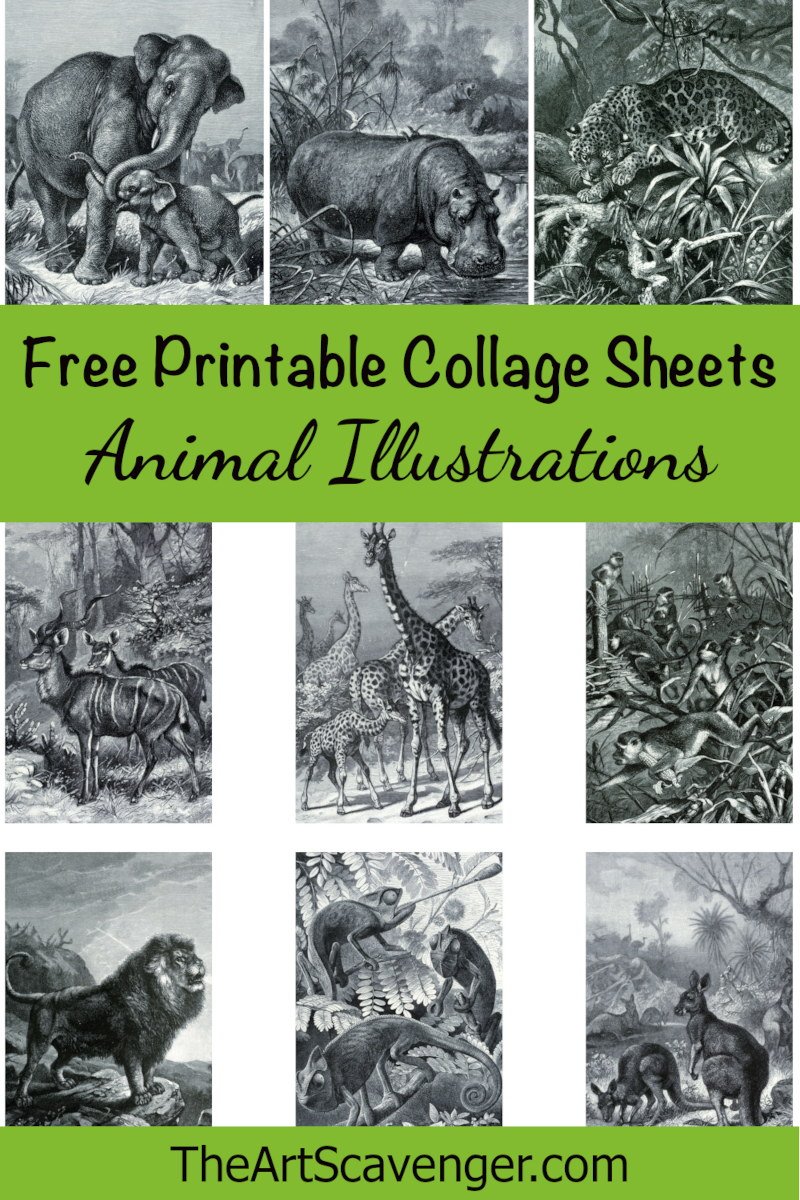 Free vintage animal images printables â the art scavenger