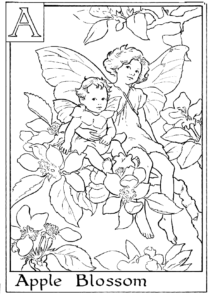 Flower fairies coloring pages