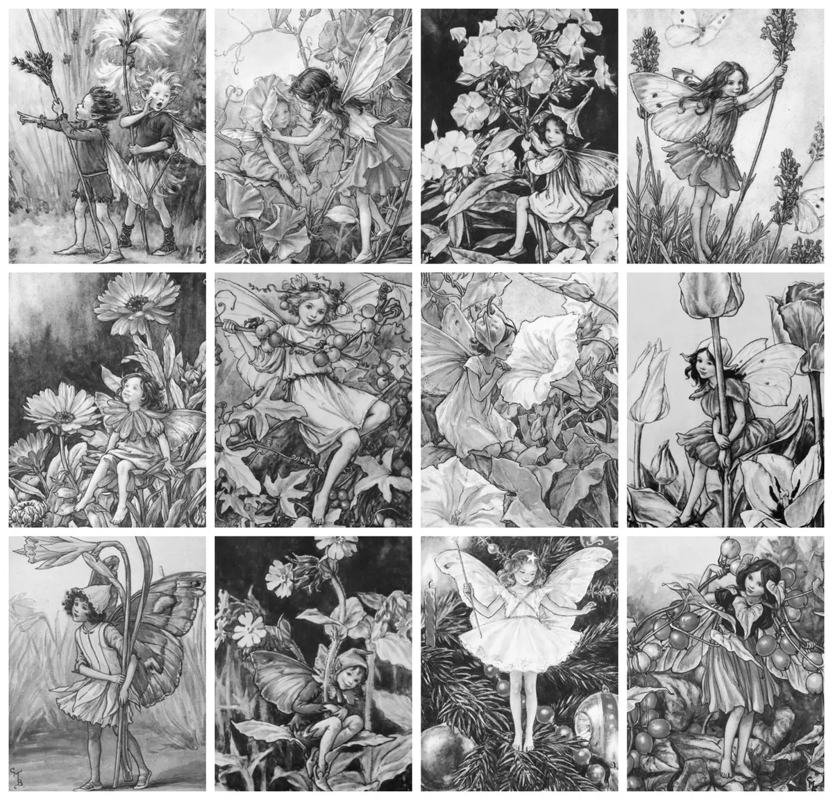 Adult loring book pages flower fairy vintage barker flonz grayscale