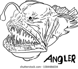 Hakuun angler fish hand drawn vintage illustration liittyvã vektorikuva rojaltivapaa