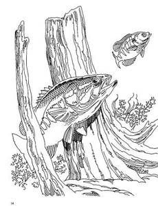 Coloring pages fish coloring page pyrography patterns fish drawings