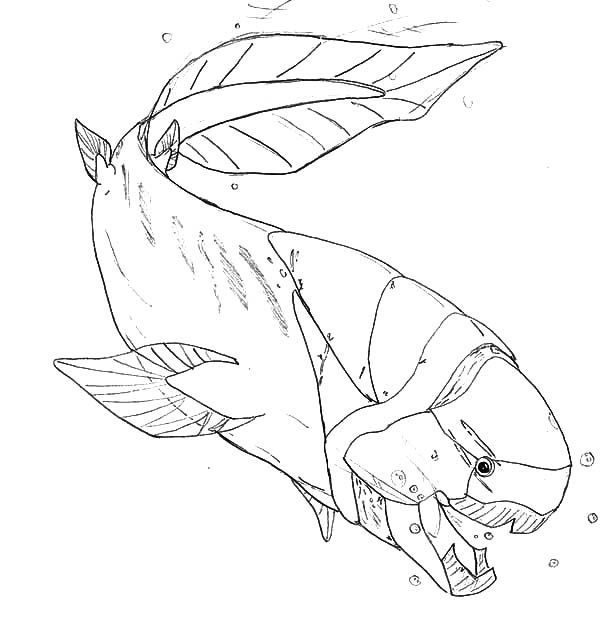 Prehistoric monster fish coloring pages color luna monster coloring pages fish coloring page animal coloring pages