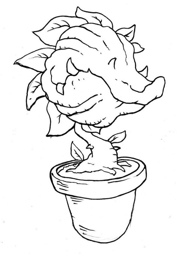 Free venus flytrap coloring pages printable pdf