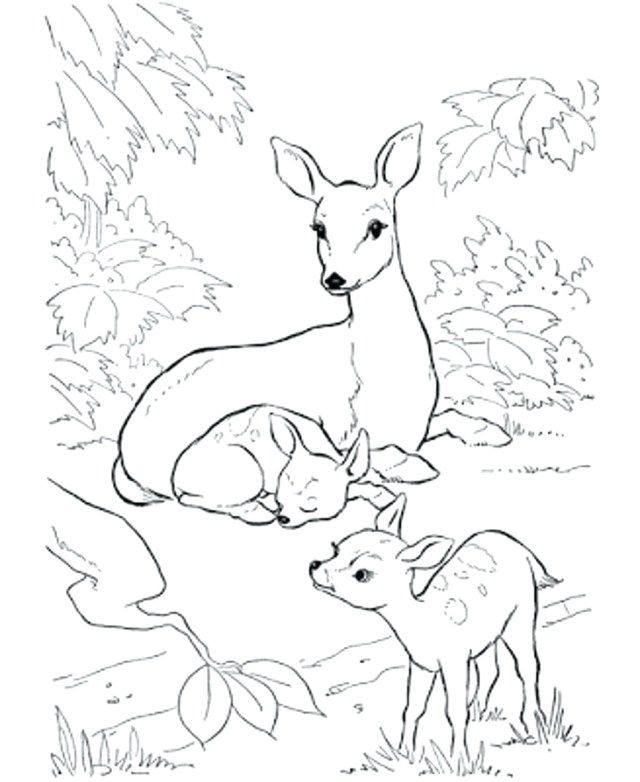 Awesome image of hunting coloring pages