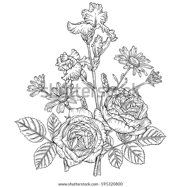 Drawn ink vintage flowers iris daisies stock vector royalty free