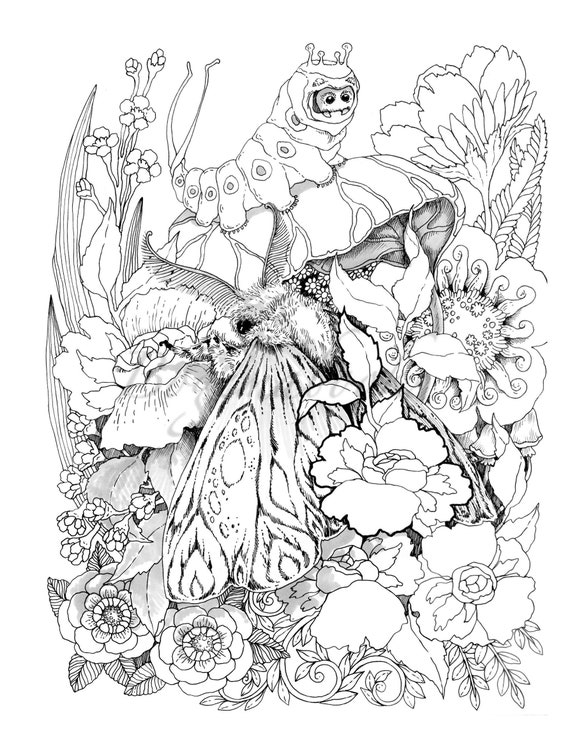 Vintage classic coloring pages iii relaxing coloring pages stress relieving designs dragons women beasts fairies and more pdf