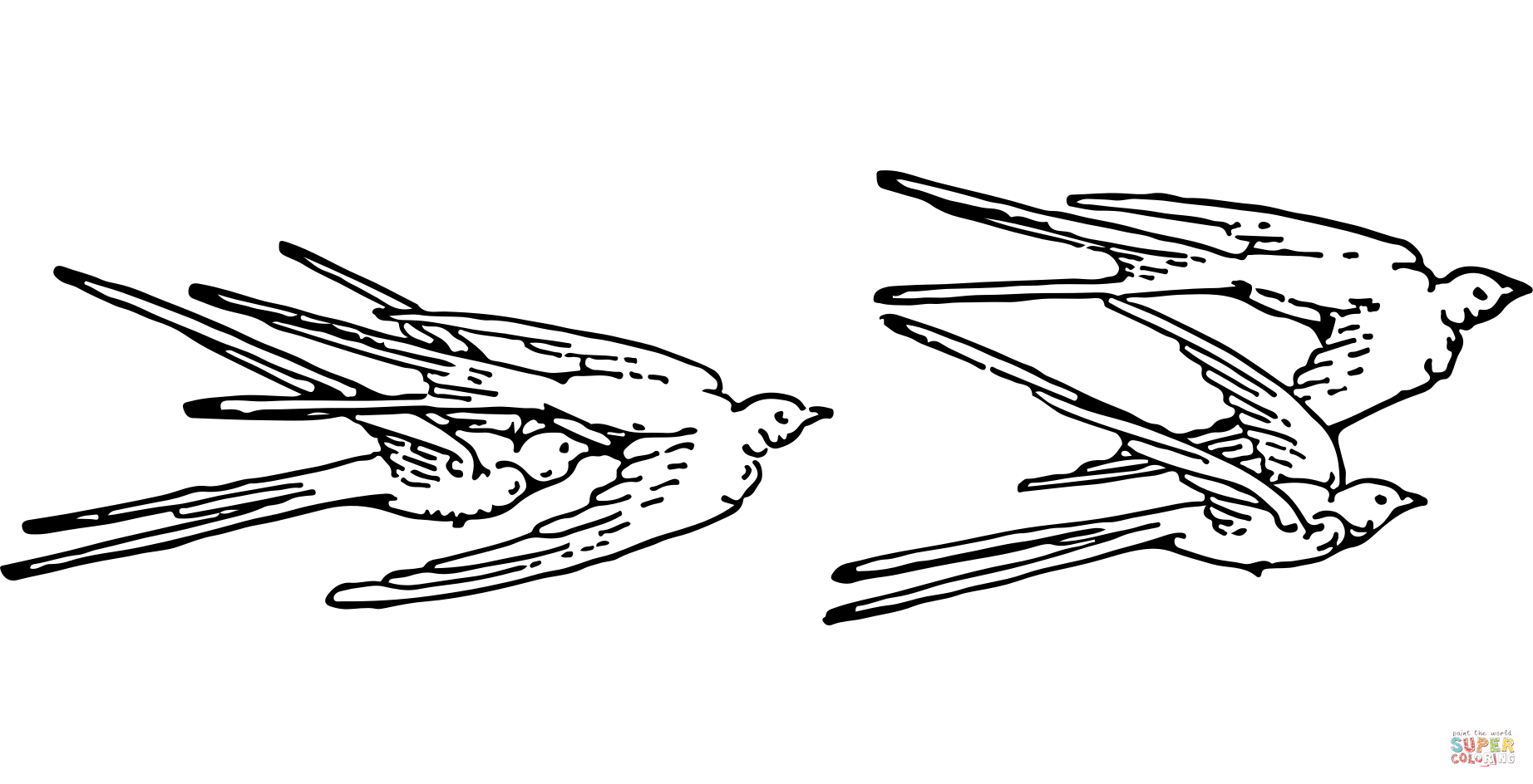 Vintage swallows coloring page free printable coloring pages