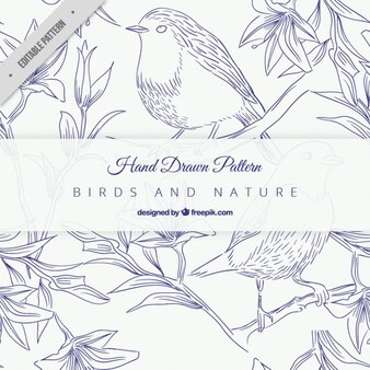 Page swallow outline images