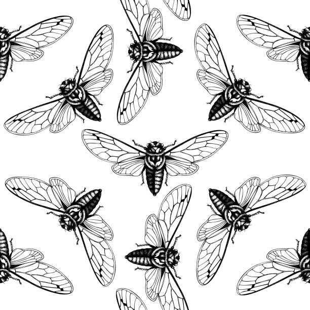 Background of the black swallow tattoo stock illustrations royalty