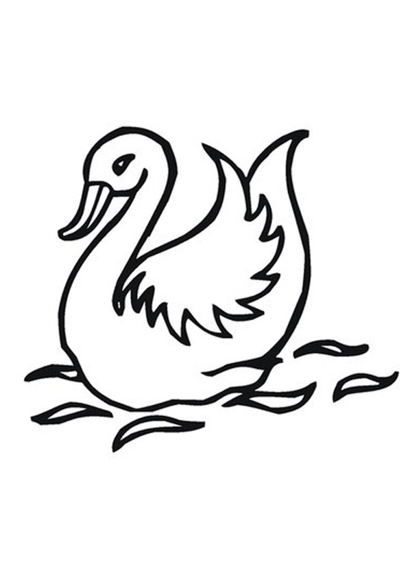 Coloring pages printable baby swan coloring pages for kids