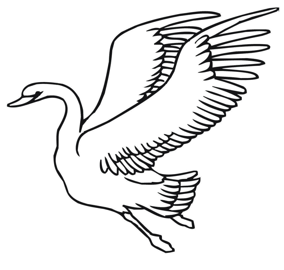 Swan coloring pages