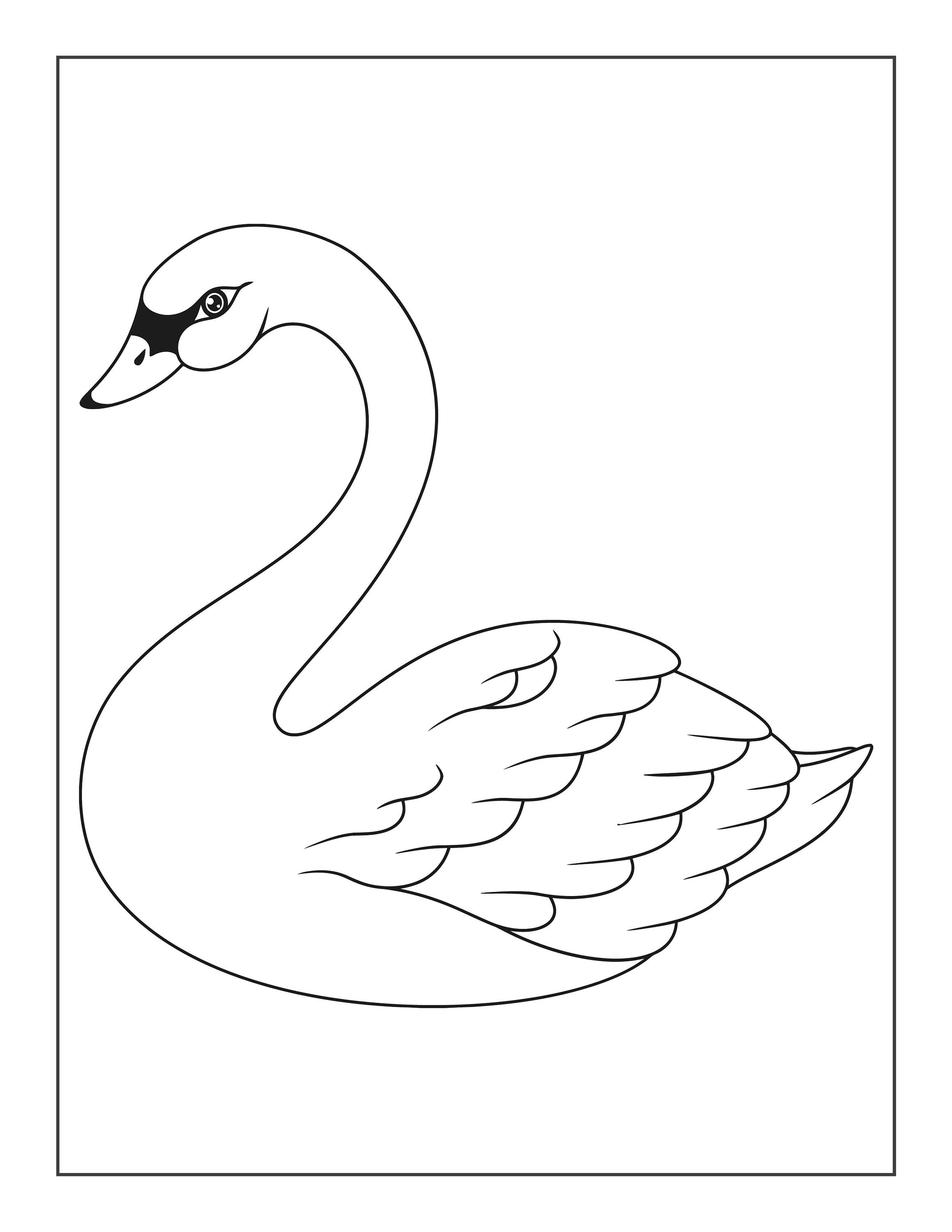 Printable swan coloring pages for children and adults instant download