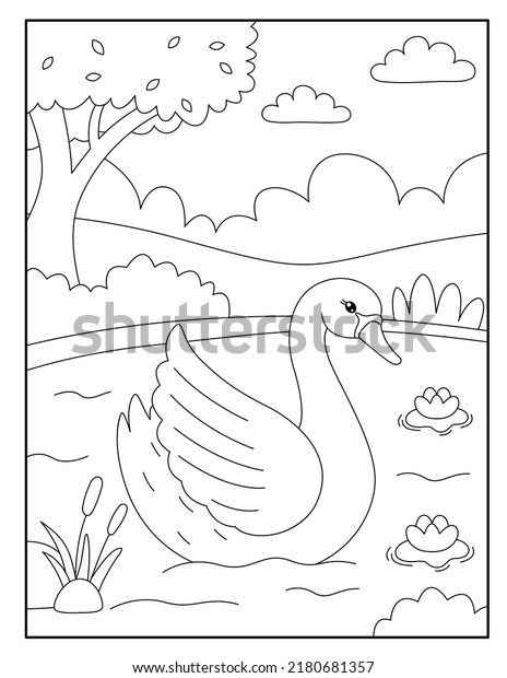 Swan coloring page images stock photos d objects vectors