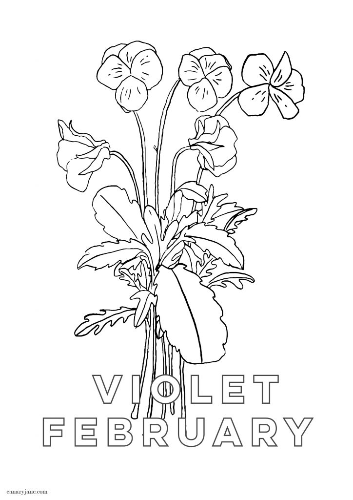 February violet birth flower background coloring page