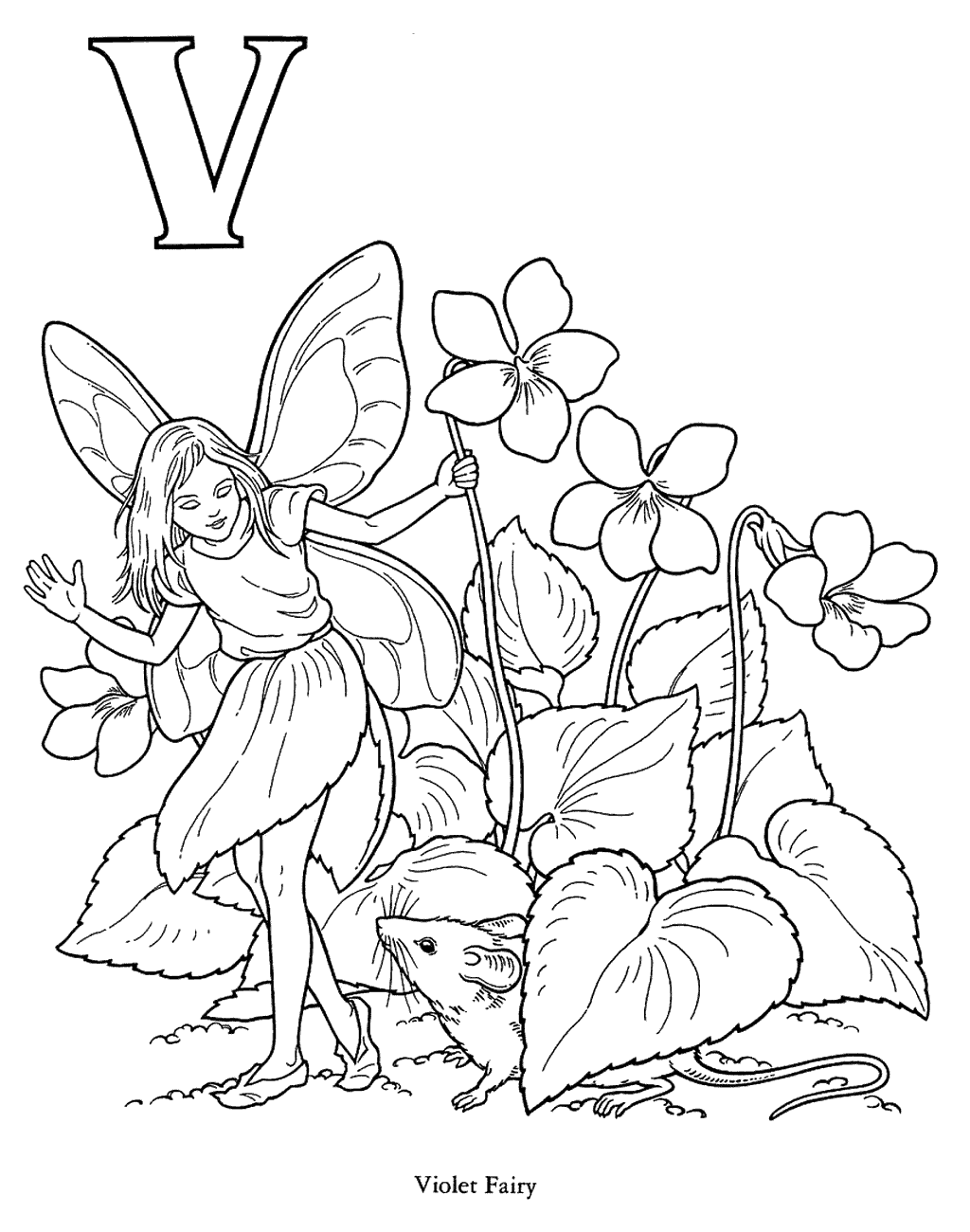 Violet coloring pages