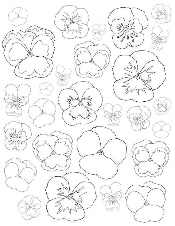 Pansy violet coloring page