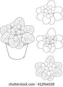 Hakuun coloring page african violet flower pot liittyvã vektorikuva rojaltivapaa