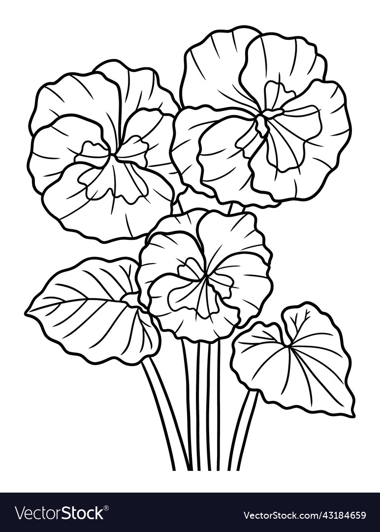 Violet flower coloring page for adults royalty free vector