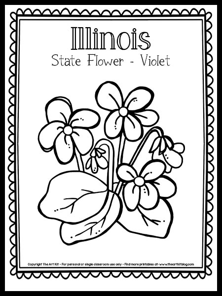 Illinois state flower violet coloring page free printable â the art kit